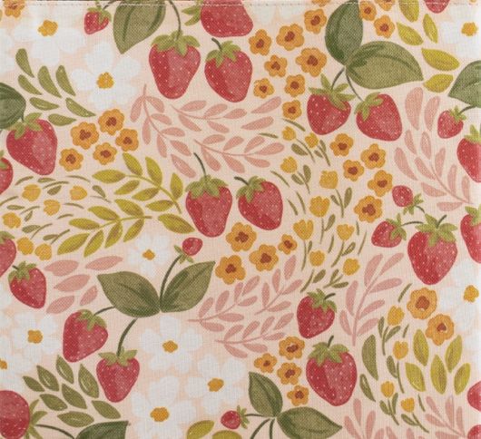 Strawberry Floral Kindle Case (6” Basic)
