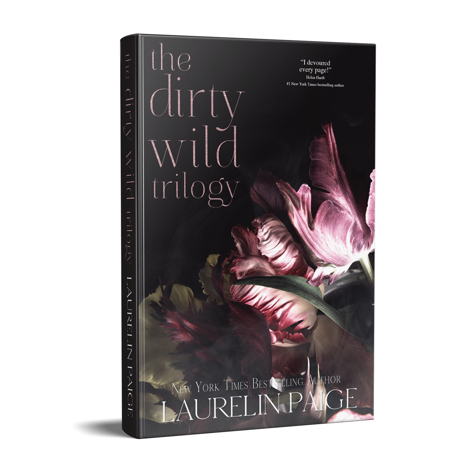 The Dirty Wild Trilogy Paperback