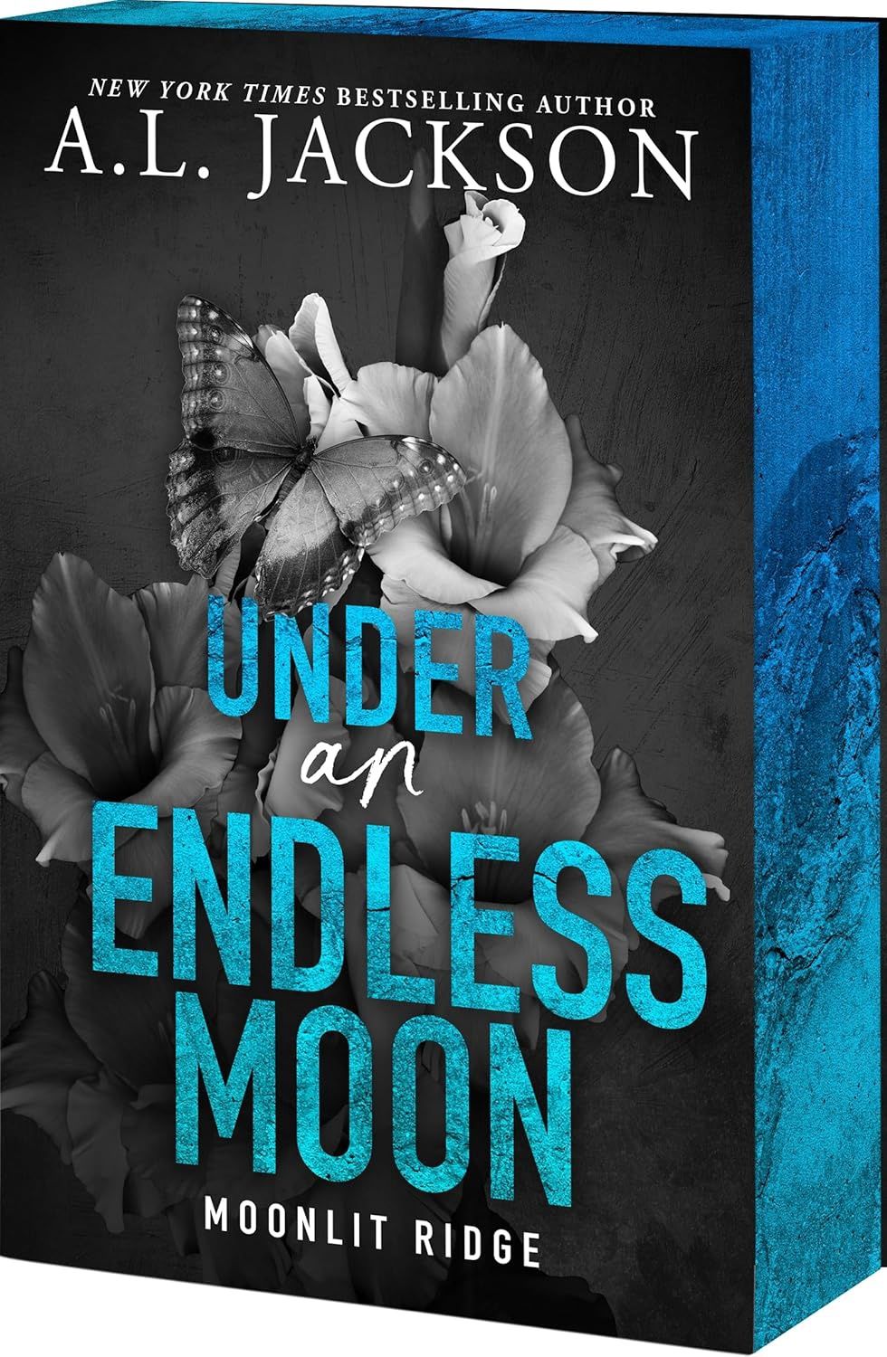 UNDER AN ENDLESS MOON (ALT COVER)