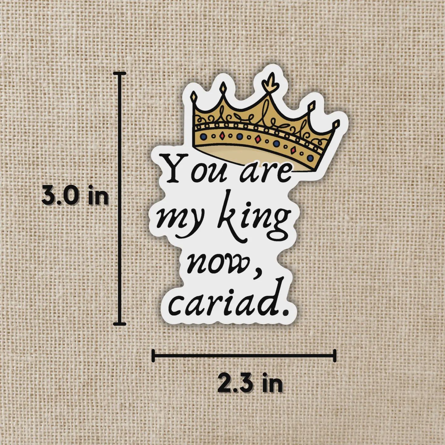 You Are My King Now Sticker | Legendborn
