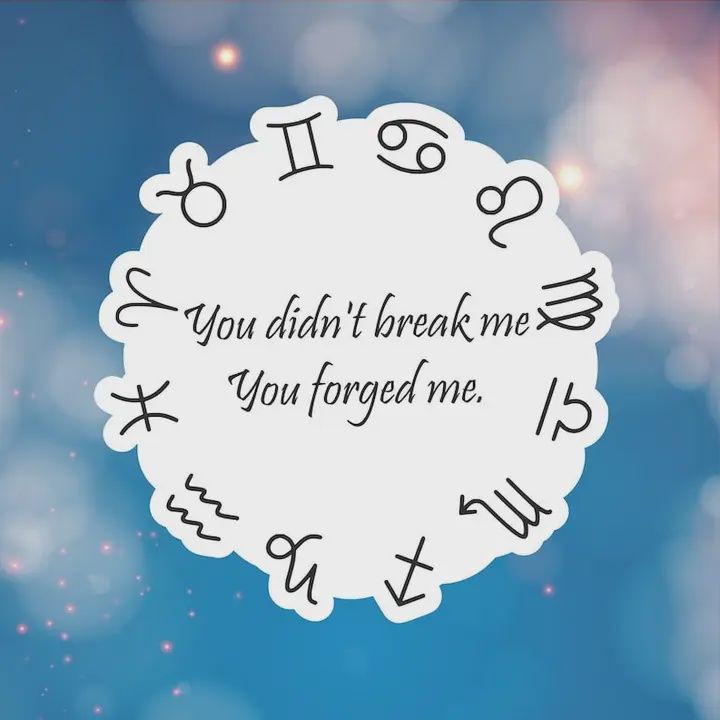 You Didn't Break Me Zodiac Academy Book Water Resistant