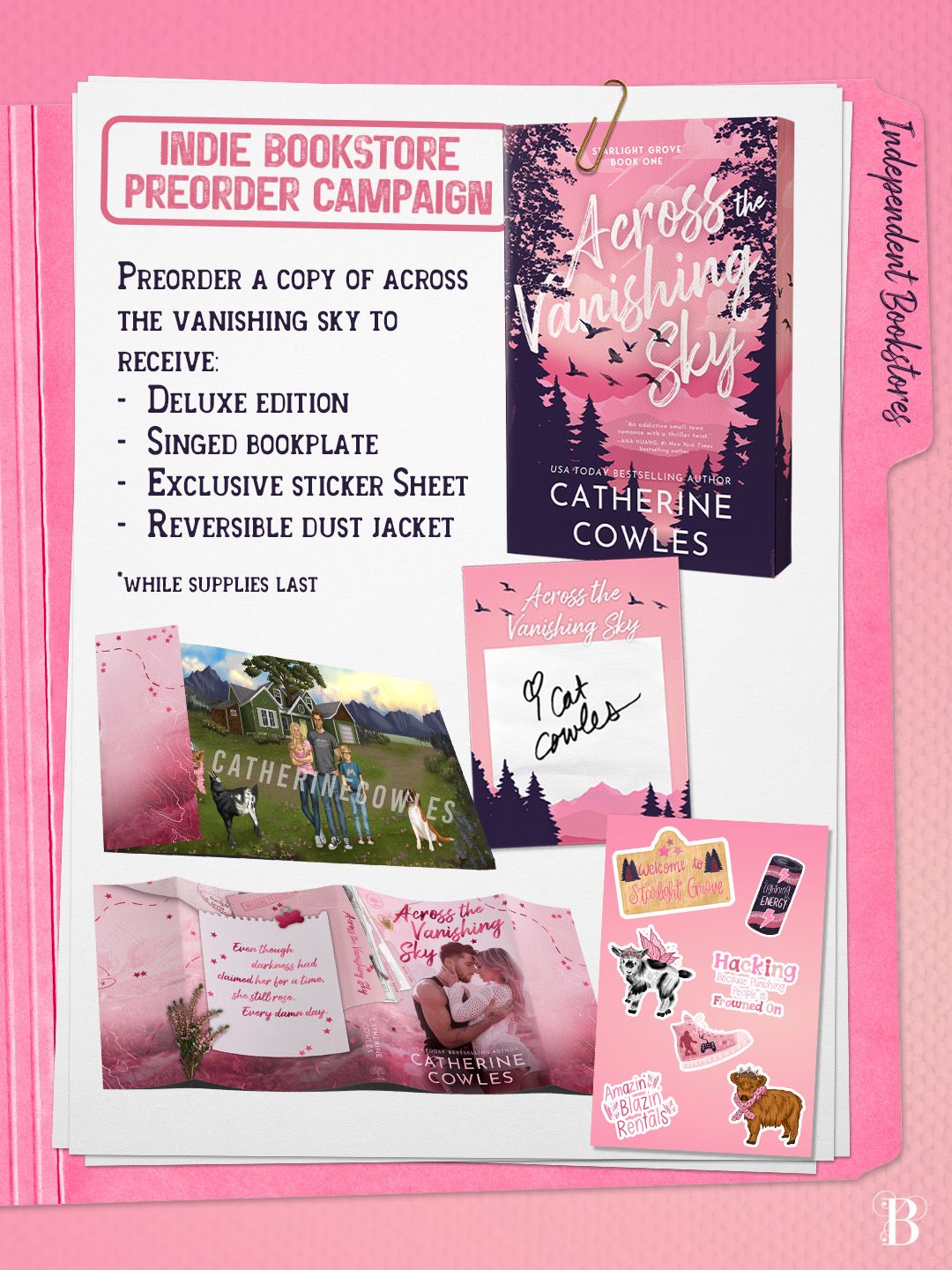 Across the Vanishing Sky (PREORDER - 3/3/26)