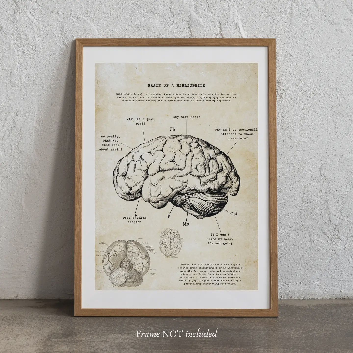 Brain of a Book Nerd - Reader Anatomy Ephemera Prints