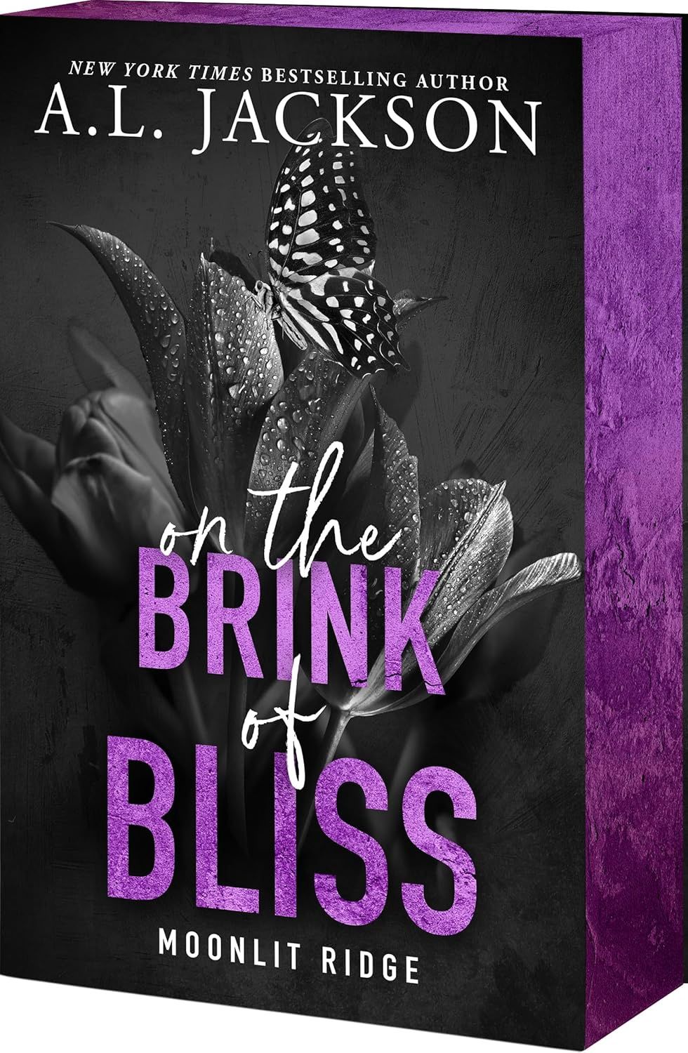 On the Brink of Bliss Deluxe Edition
