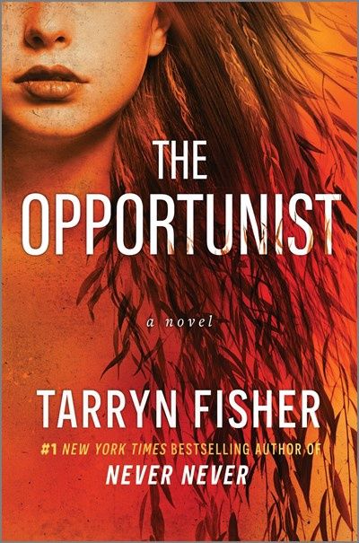The Opportunist:  An Unconventional, Second Chance Love Story