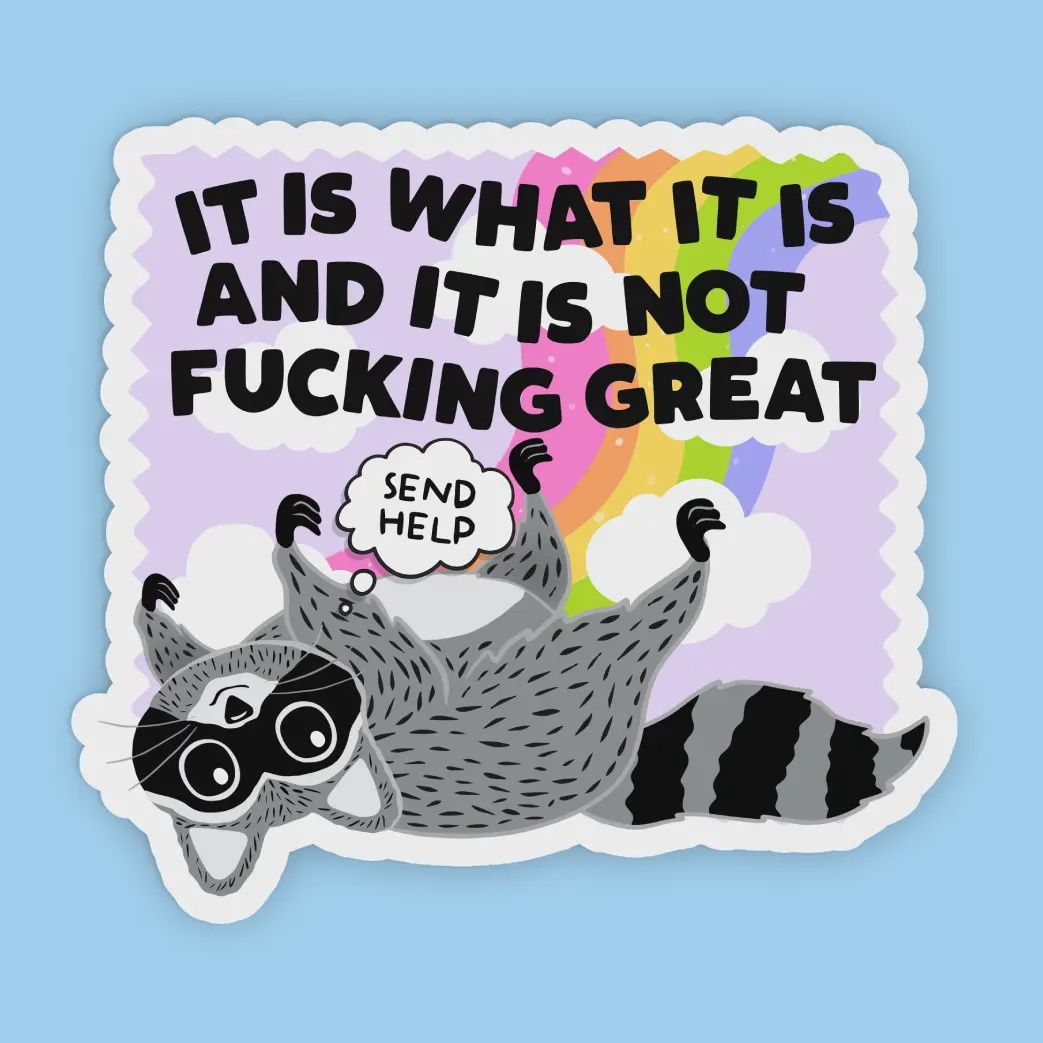 It Is What It Is,  Raccoon Sticker, Raccoon Meme Sticker