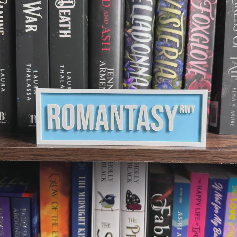 Romantasy Street Sign | Bookshelf Decor - Multi