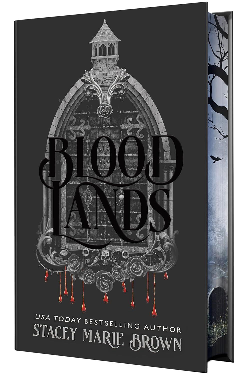 Blood Lands (Savage Lands #5)