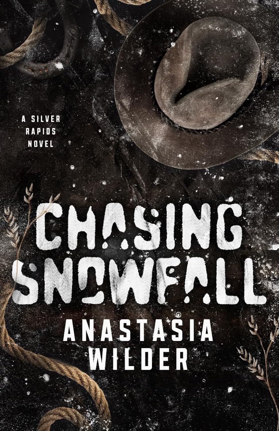 Chasing Snowfall (Silver Rapids #1)
