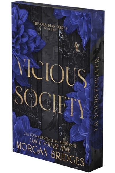 Vicious Society (The Obsidian Order #2)