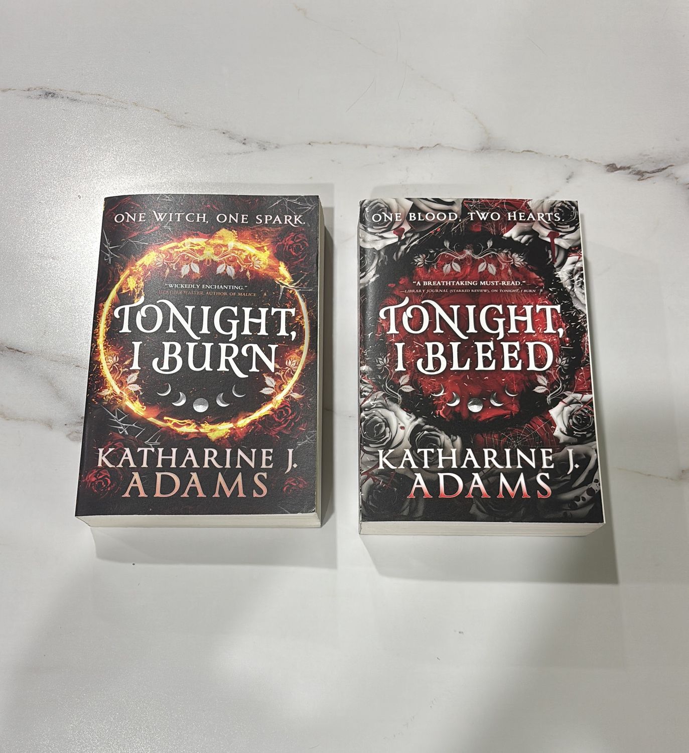 The Witches of Halstett Series (2 Books) (Book Series Bundle)