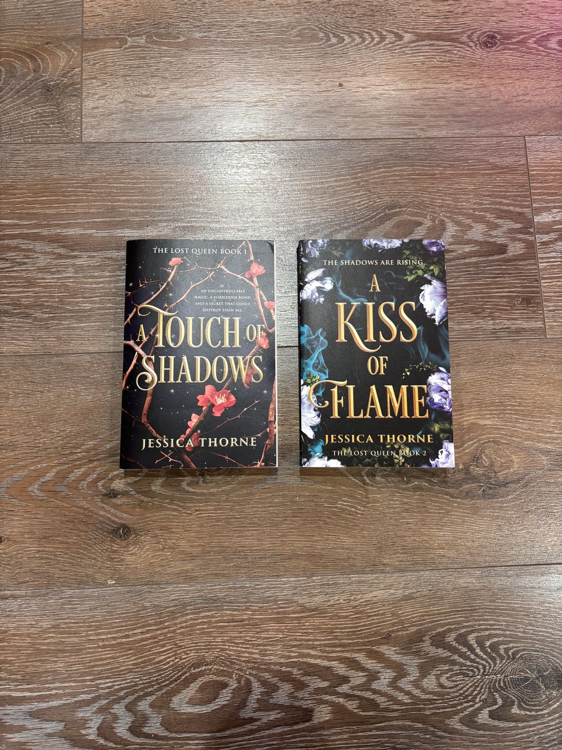 The Lost Queen Series (2 Books) (Book Series Bundle)