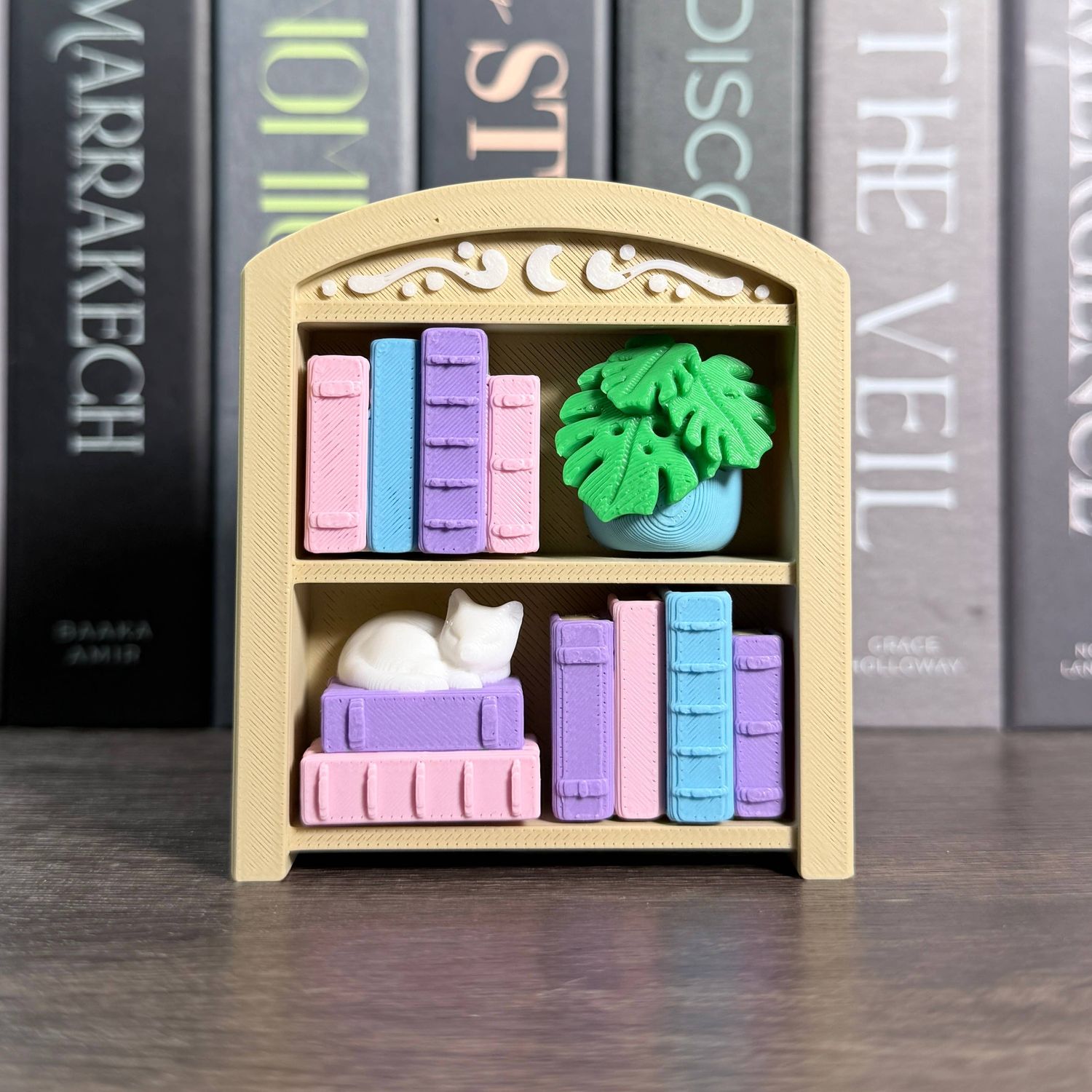 Bookshelf Fidget Clicker | Book Lover Desk Decor