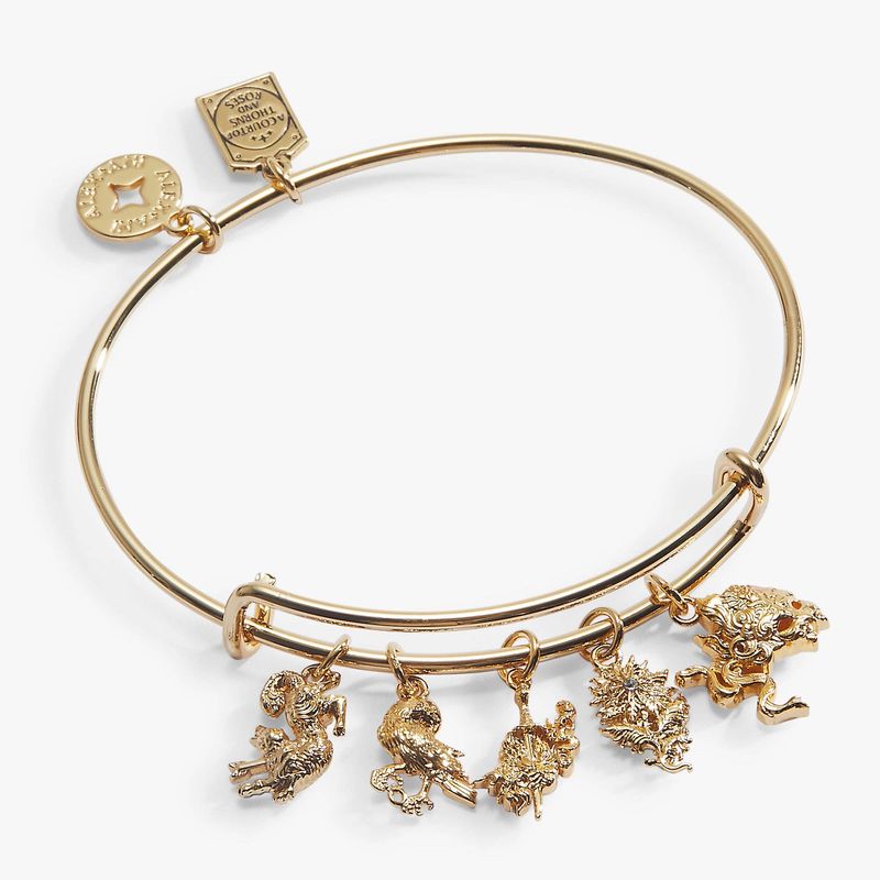 A Court of Thorns and Roses Book Covers Charm Bangle