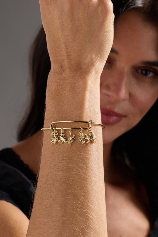 A Court of Thorns and Roses Book Covers Charm Bangle