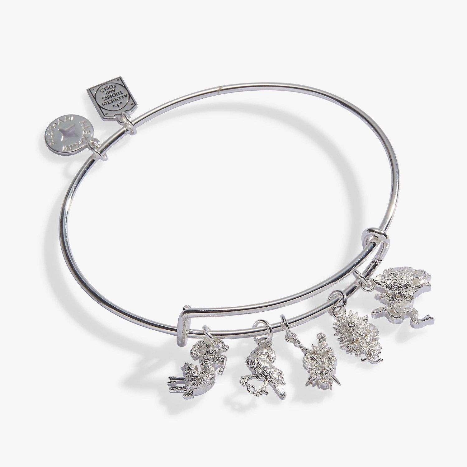 A Court of Thorns and Roses Book Covers Charm Bangle, Finish: Silver