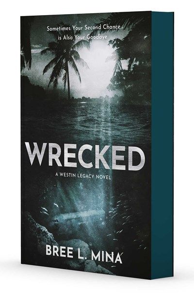Wrecked (Mina)