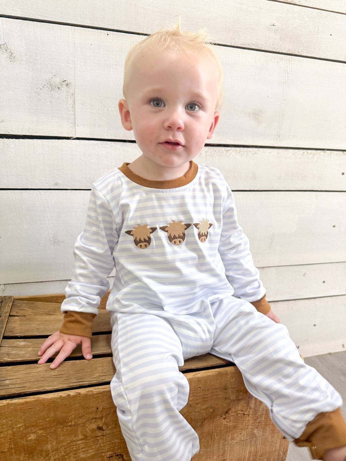 Cows Appliqué Boy Romper