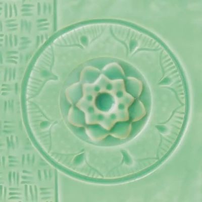 CEL SUCCULENT