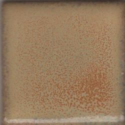 Constilation  Summer Spice