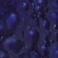 JG Celestial Blue