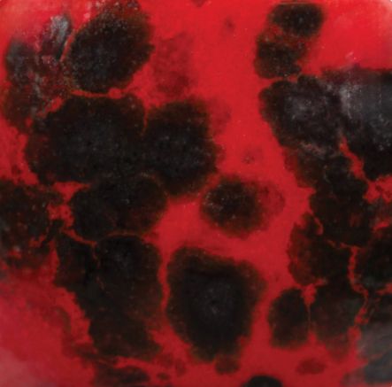 JG Lady Bug