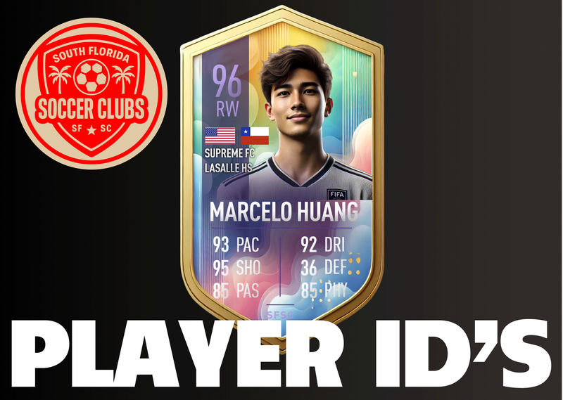 PLAYER-ID