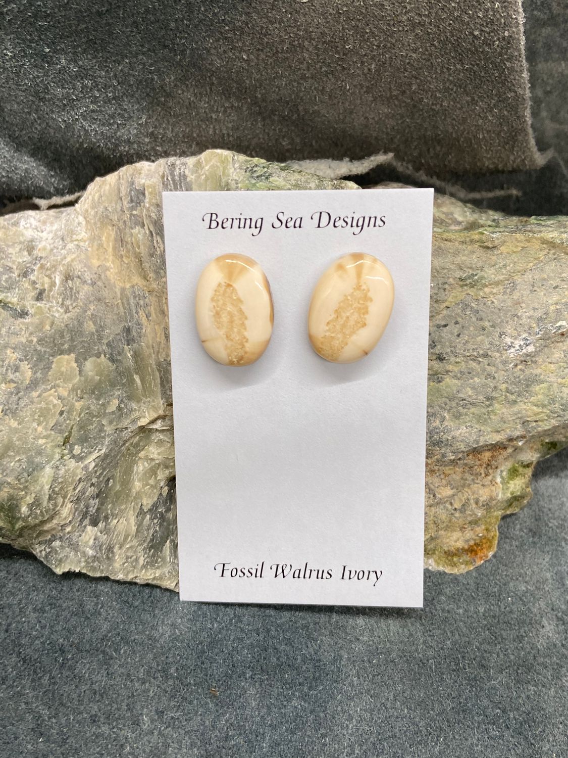Fossil Walrus Ivory Stud Earrings