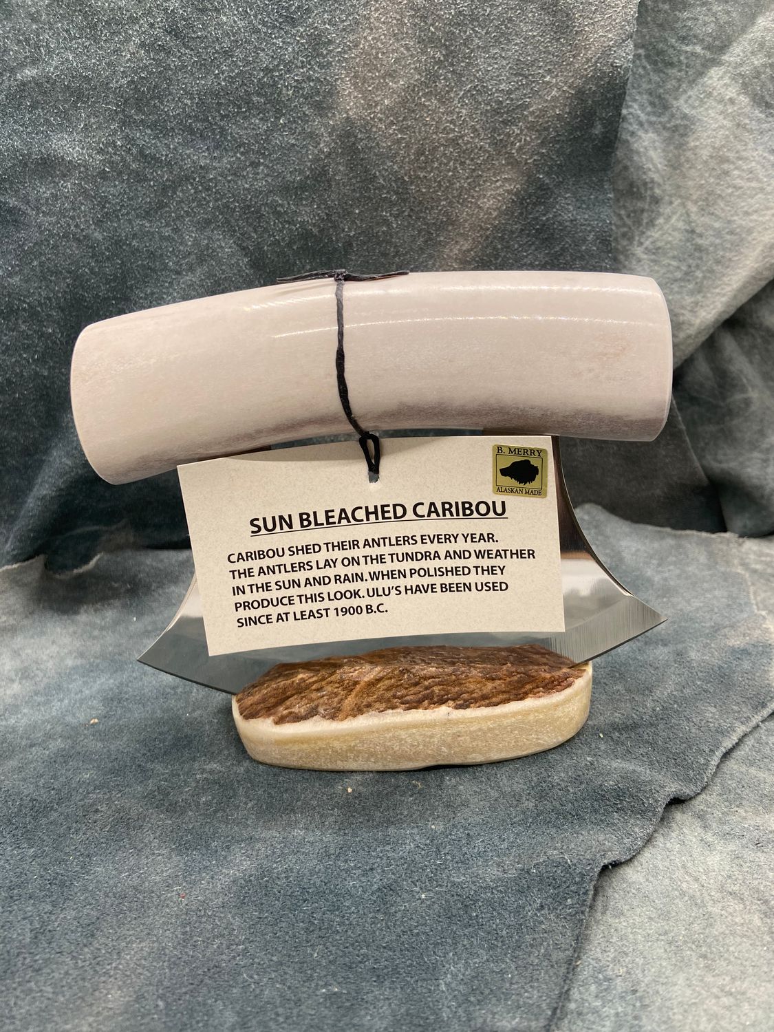 Sun Bleached Caribou Antler Ulu
