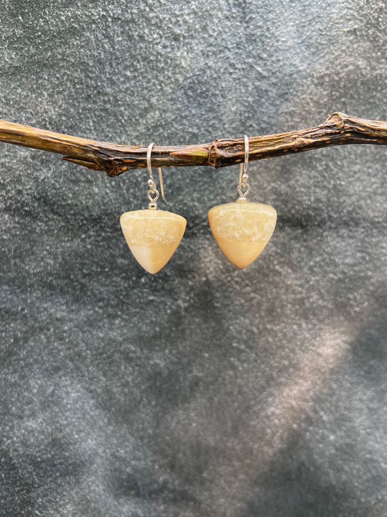 Fossilized Walrus Ivory Earrings