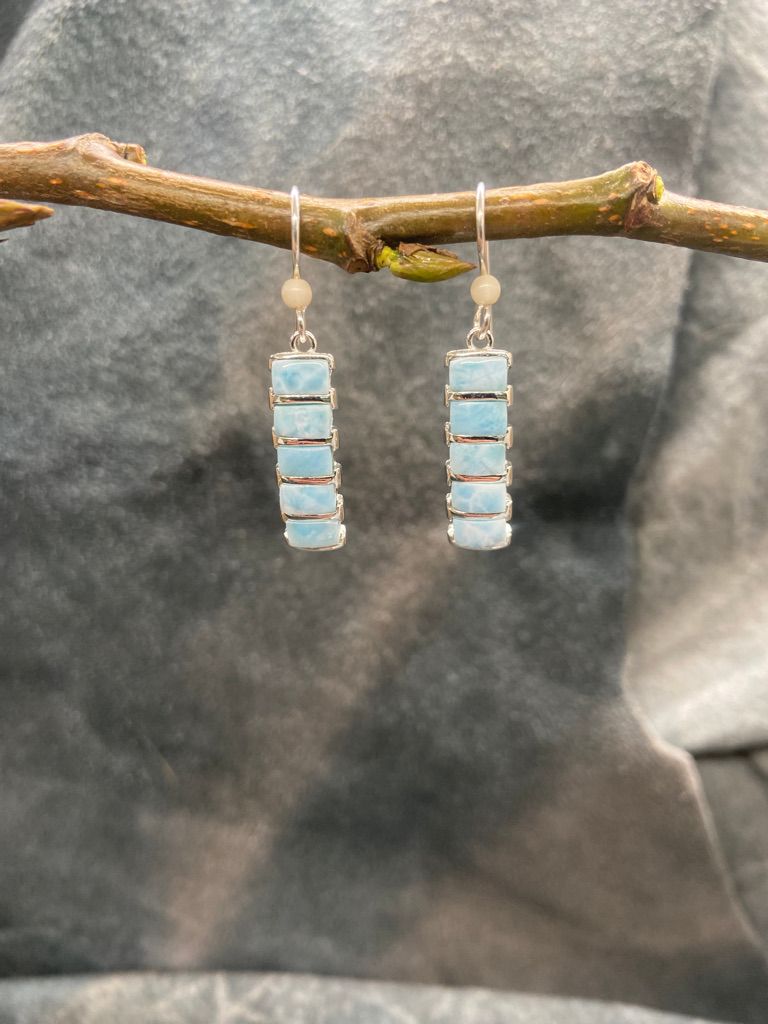 Larimer Ladder Earrings