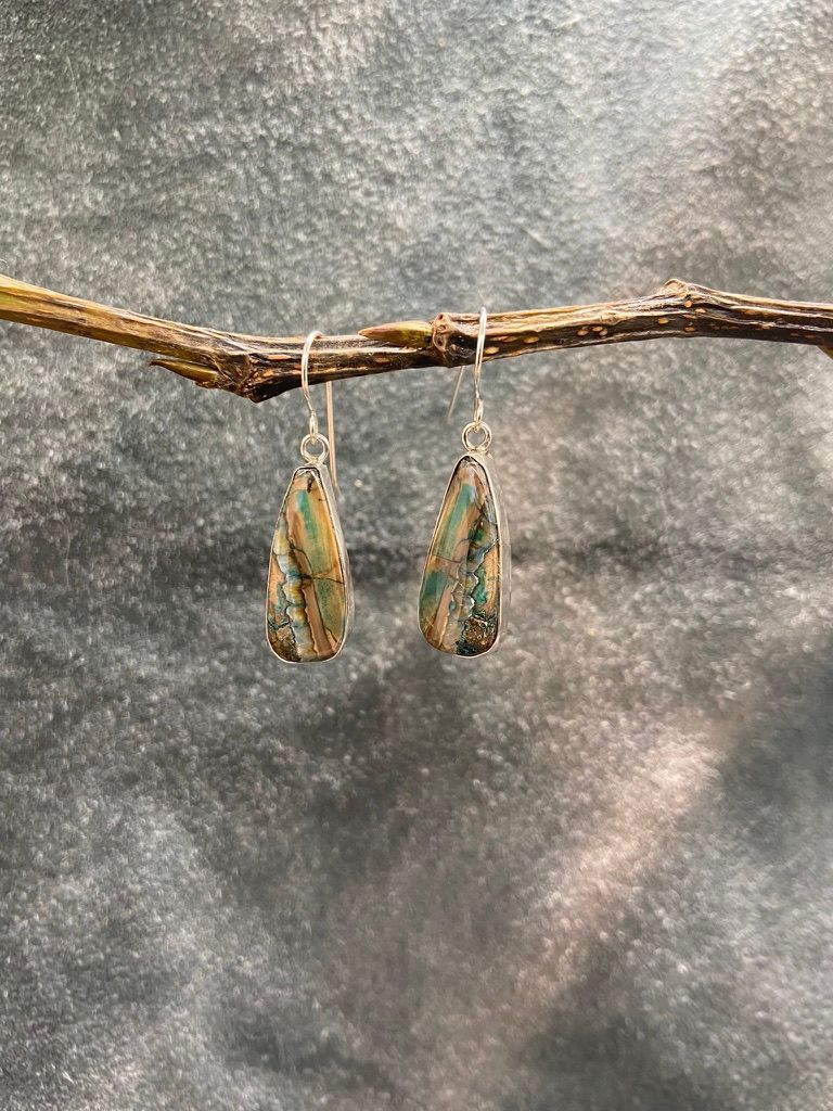 Mammoth Tooth Earrings