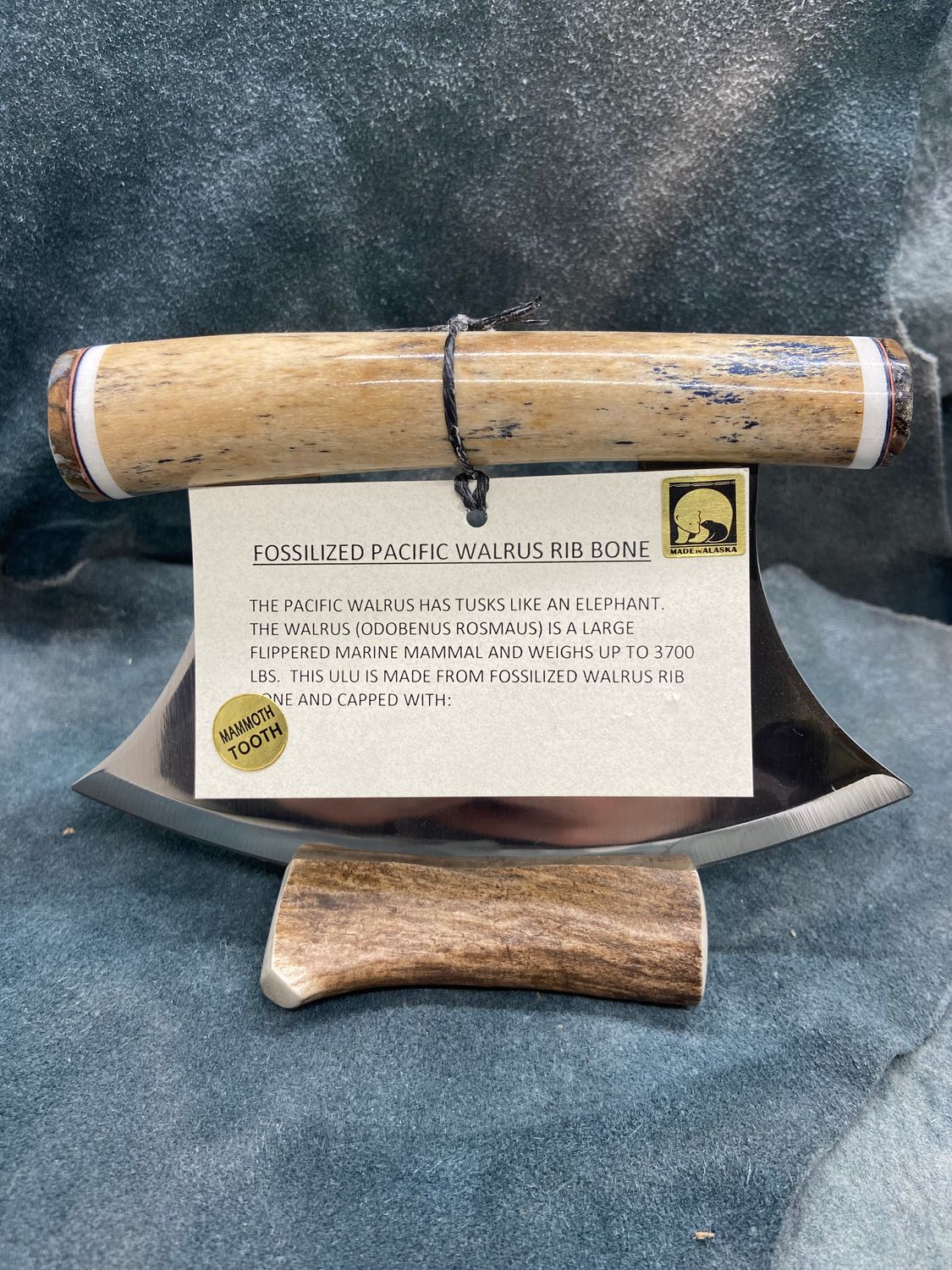 Fossilized Pacific Walrus Rib Bone and Mammoth Tooth Ulu