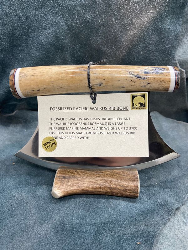 Fossilized Pacific Walrus Rib Bone and Mammoth Tooth Ulu