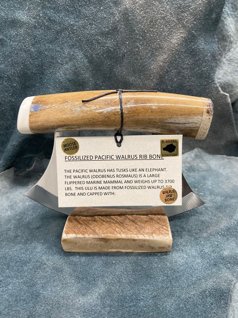 Fossilized Pacific Walrus Rib Bone and Moose Antler Ulu