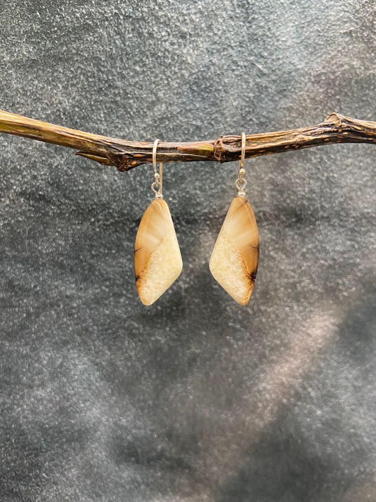Fossilized Walrus Ivory