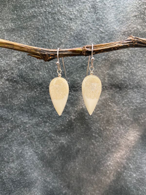 Fossilized Walrus Ivory Earrings