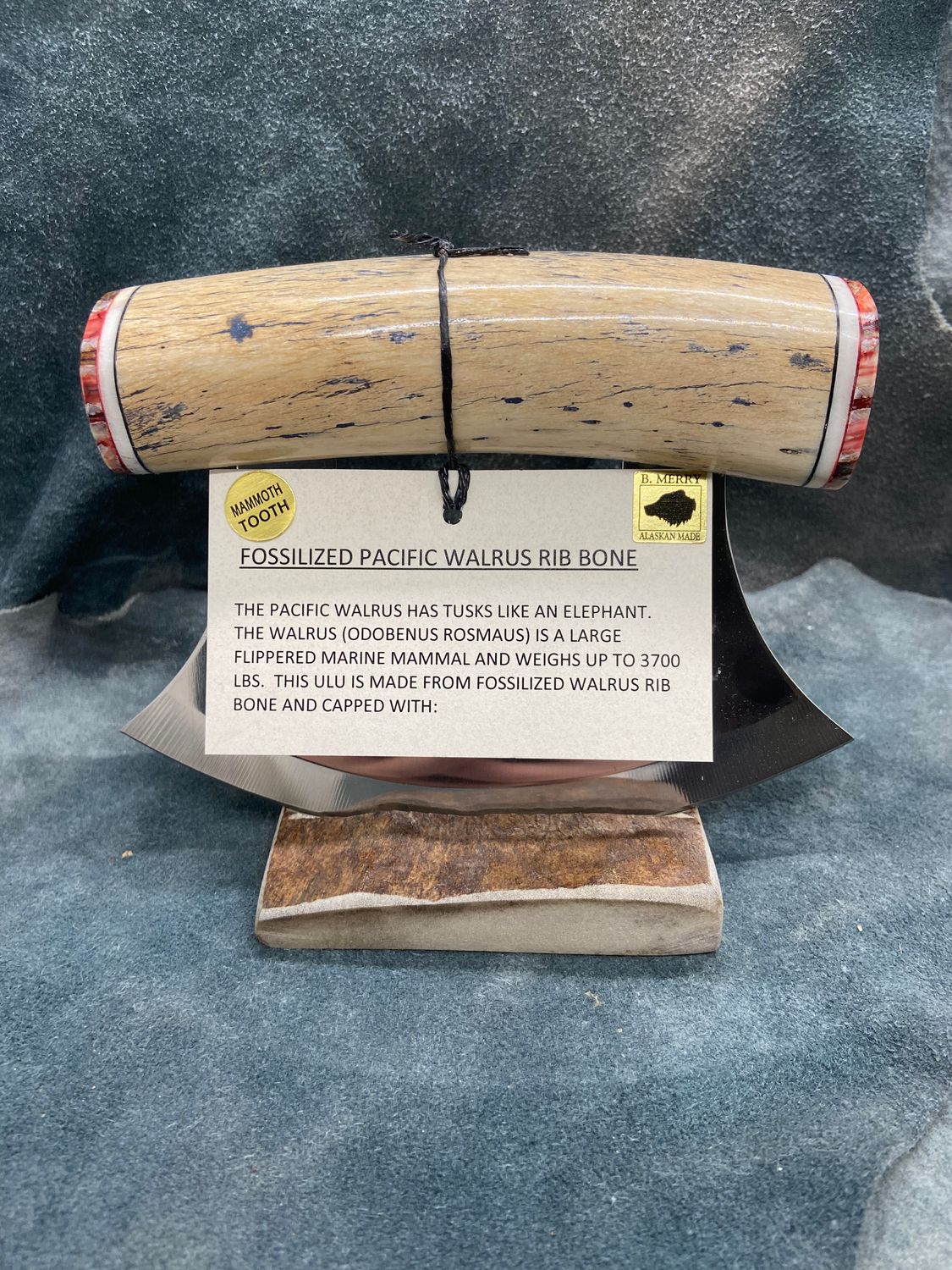 Fossilized Pacific Walrus Rib Bone and Mammoth Tooth Ulu