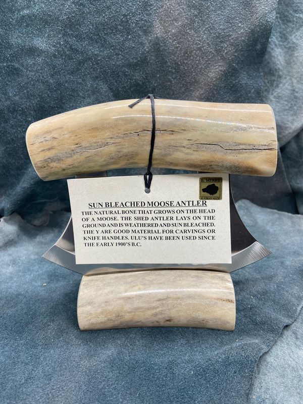 Sun Bleached Moose Antler Ulu