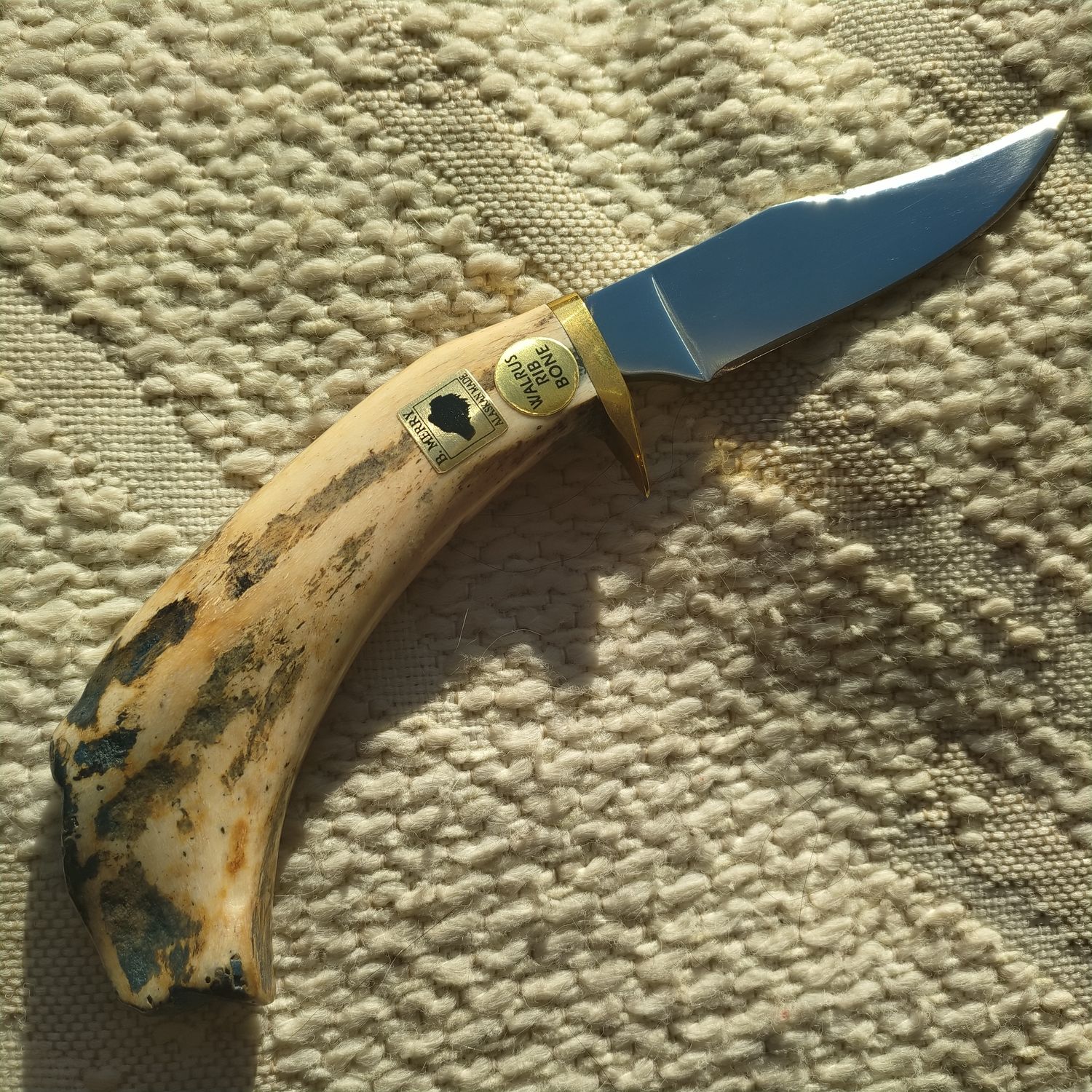 Bob Merry Walrus Rib Bone Small 2