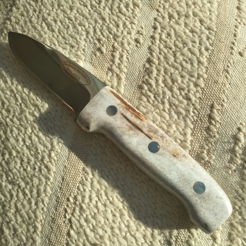 Moose Antler Drop Point Hunter