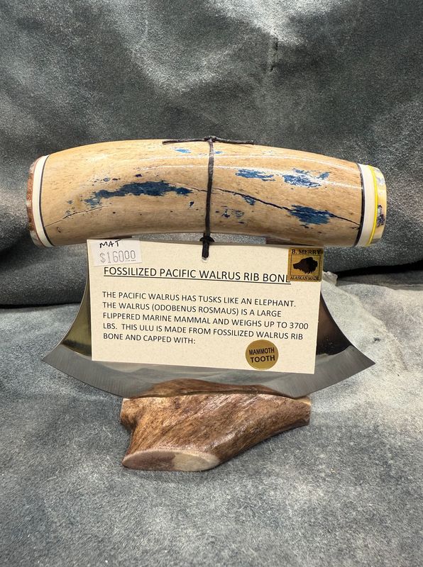 Walrus Rib Bone Ulu (With Mammoth Tooth)