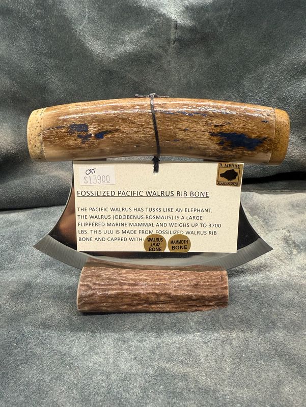 Walrus Rib Ulu (With Walrus Jaw &amp; Mammoth Bone)
