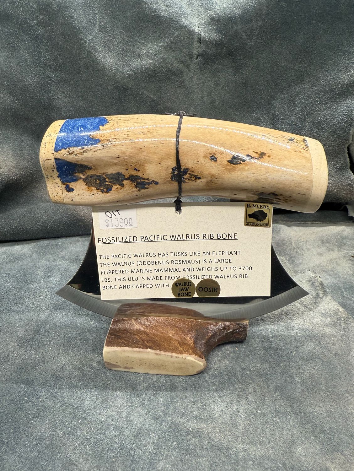 Walrus Rib Ulu (With Walrus Jaw &amp; Oosik)