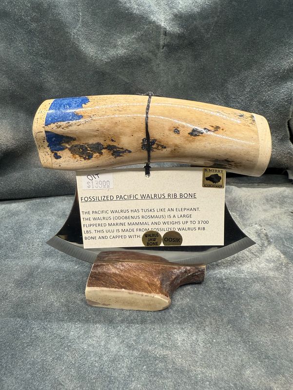 Walrus Rib Ulu (With Walrus Jaw &amp; Oosik)