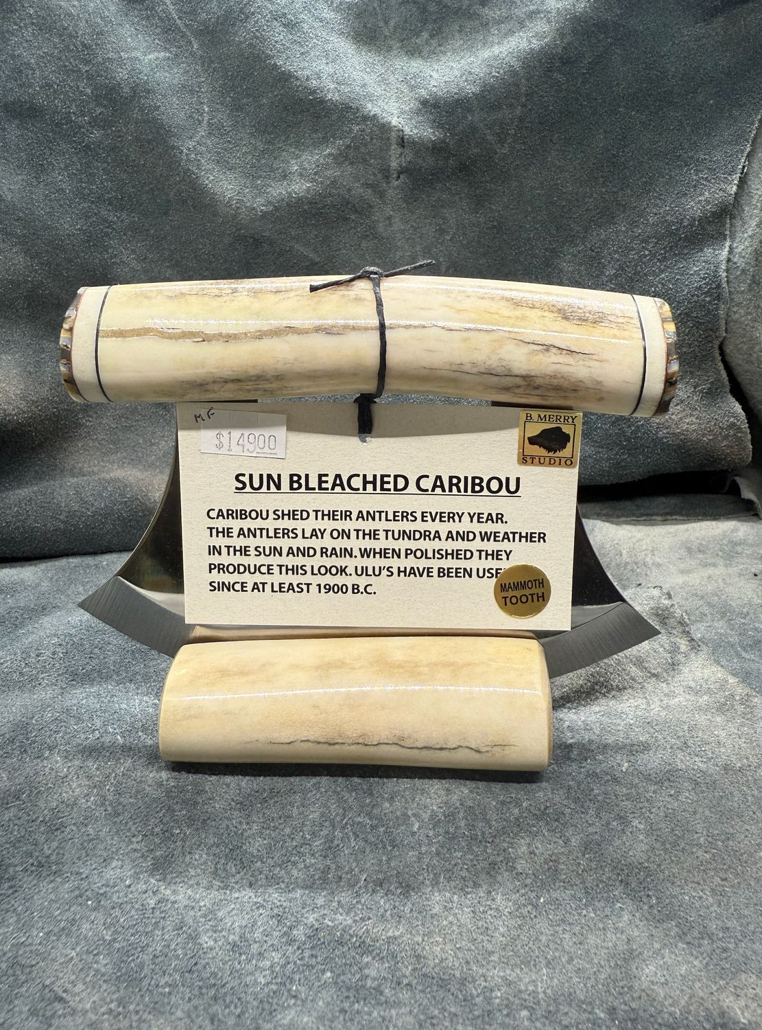 Caribou Antler Ulu (With Mammoth Tooth)