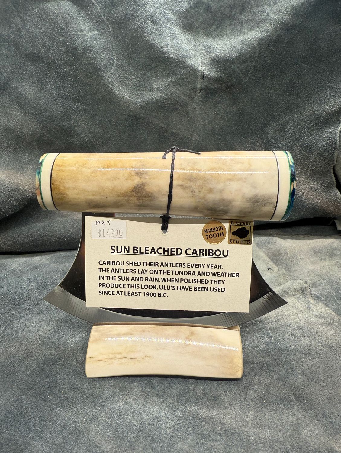 Caribou Antler (With Mammoth Tooth)