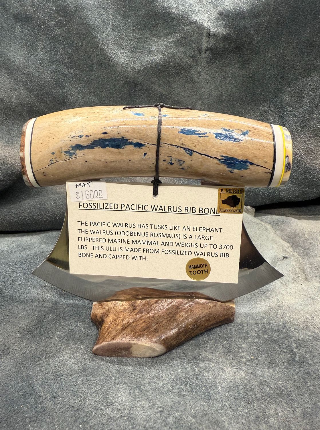 Walrus Rib Bone Ulu (With Mammoth Tooth)