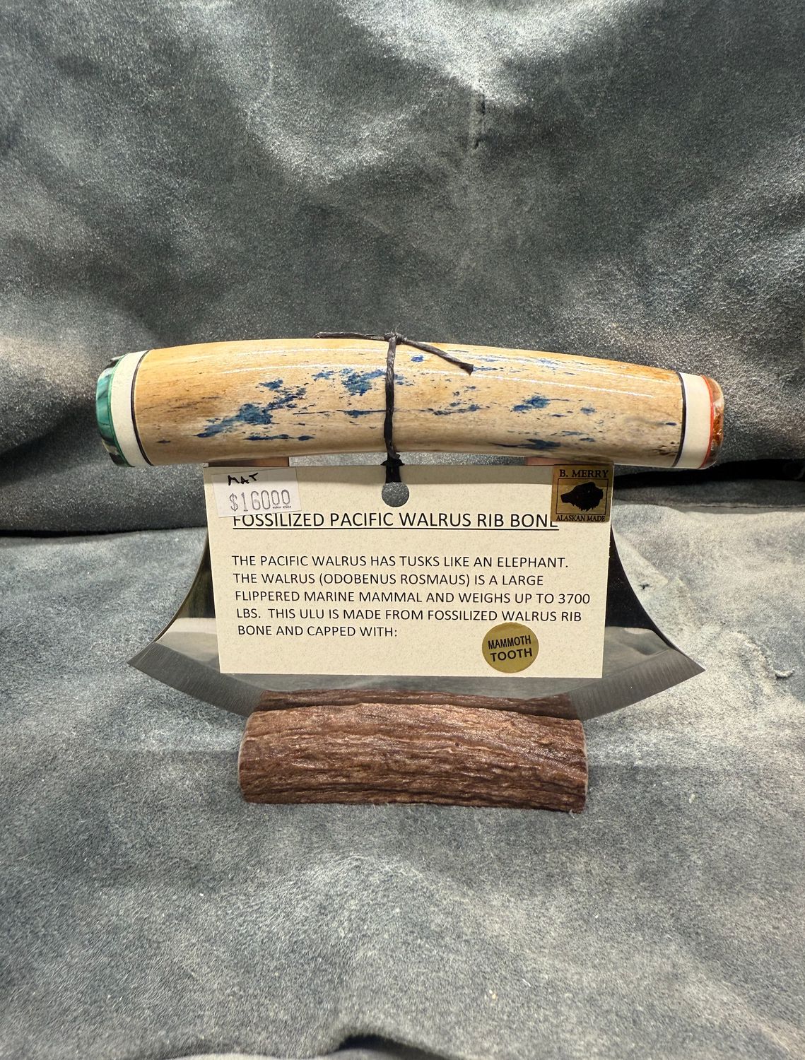 Walrus Rib Bone Ulu (With Mammoth Tooth)