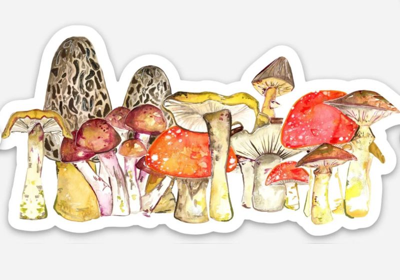 Seabolt Stickers Fungi Forager